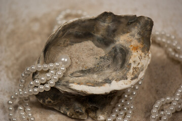 pearl necklace and shell in the sand