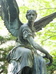 Fototapeta premium Engel