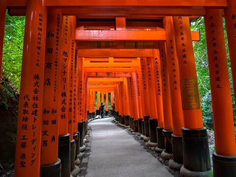 The Torii Gates of Fushimi Inari Shrine in Kyoto, Japan