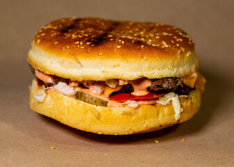 Handmade burger. Bun, Meat, Onion, Cheese, Tomato, Sauce