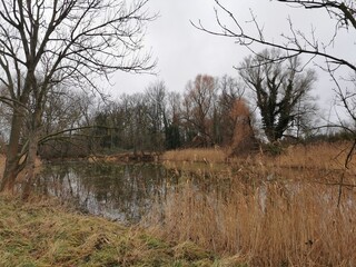 Weiher in einem Natuschutzgebiet im Salzlandkreis, Sachsen-Anhalt., Lebensraum für Kleinstlebewesen