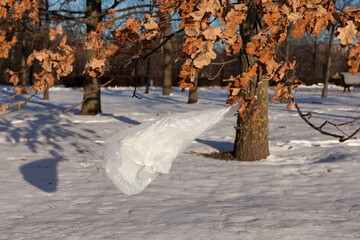 Used plastic bag caught on tree branch in the park. Problem of increasing plastic waste. Pollution...