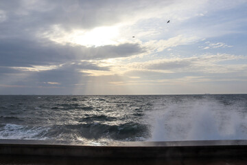 sky over the sea and birds flying