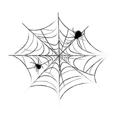 Hand drawn Spider web isolated on white. Spiderweb silhouette. Black and white Spider illustration on the web