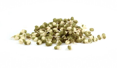 Sprouted mungo beans isolated on white. Super food.