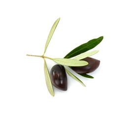 Olive branch with three black olives, isolated on white background
