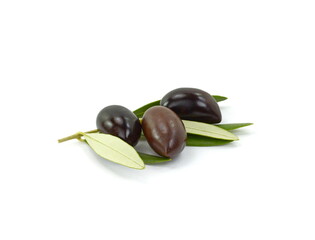 Olive branch with three black olives, isolated on white background