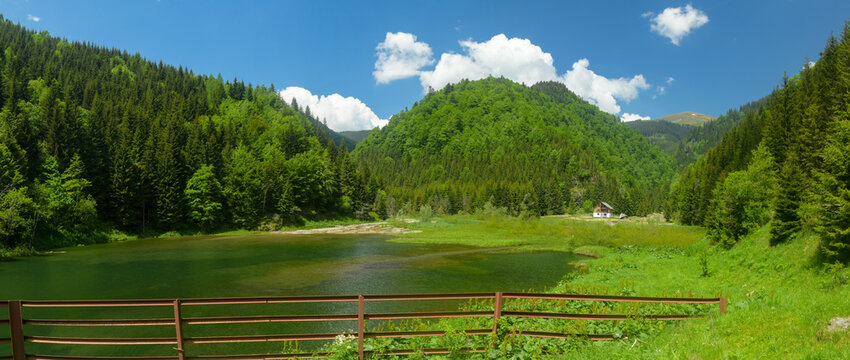 Balota lake panorama - a pond located in a mountainous area, inside a spruce forests. The peaks of Capatanii Mountains are green, as it is summer. Carpathia, Romania.