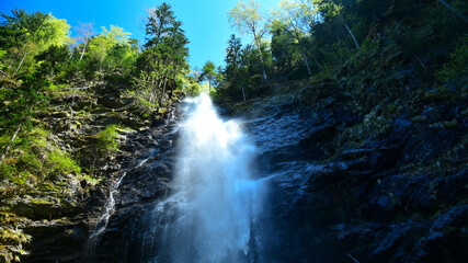 Scorusu waterfall seen from a lower angle. The river falls from a high, vertical and abrupt cliff wall. Capatanii Mountains, Carpathia, Romania.