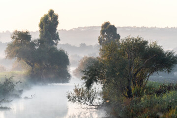 Autumn foggy morning over the river in Agamon Hula park, Israel.