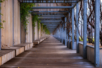 The beginning of a long journey. Tunnel entrance. Arcade perspective.