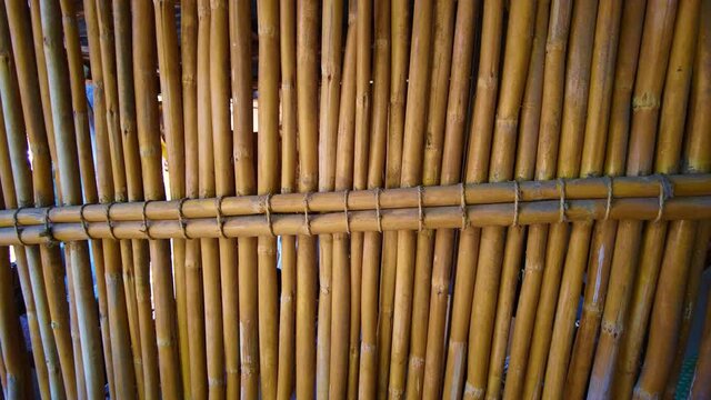 panning of common reed fence. Bamboo background