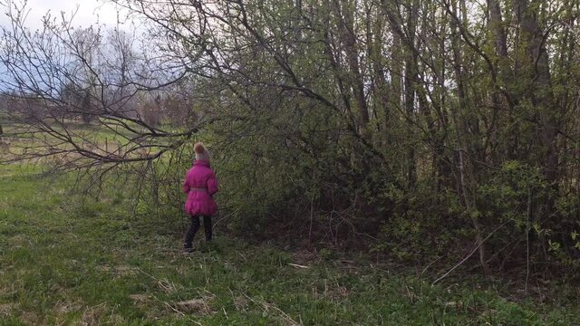 A little girl walks in the countryside. Wild nature in early spring. 
