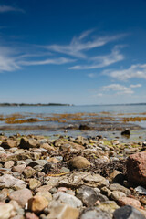 Tall grass and small stones on the beach. Blue sky over sea