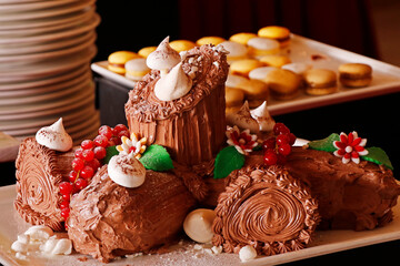 Traditional Christmas dessert, Christmas yule log cake with chocolate cream, cranberry and meringue