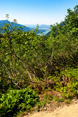 Obraz premium Pathway on the surrounding mountains in Juneau