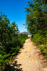 Fototapeta na wymiar Pathway on the surrounding mountains in Juneau