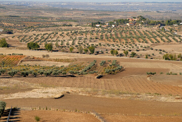 Semi aerial view over agricultural landscape with olive trees, from Chinchon Castle, Madrid...