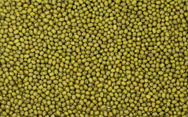Dry green beans  background. Organic raw green beans mungo (Vigna radiata).