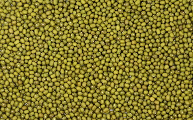 Dry green beans  background. Organic raw green beans mungo (Vigna radiata).