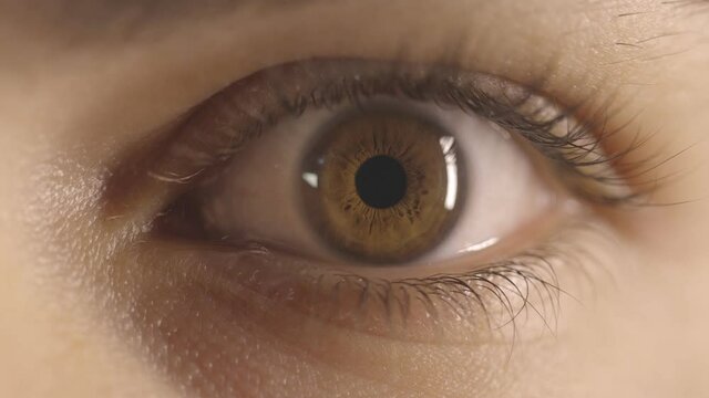 Macro detail of a brown eye with long lashes. Opening and closing of the eye. Pupil dilation reaction to light.