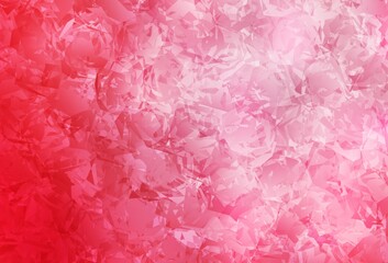 Light Red vector elegant background with roses, flowers.
