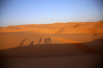Fototapeta na wymiar Playing with the shadows at sunset on the dunes of the Omani desert of Wahiba Sands