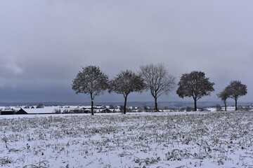 Winter dream winter landscape with gray clouds. Cold season with snow and dark vegetation.