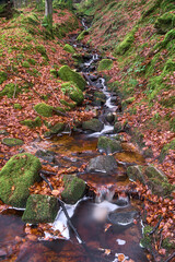 Beautiful long exposure vertical view of small stream with fallen brown autumn leaves and green moss, Cruagh Forest, County Dublin, Ireland. Irish forests