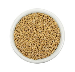 wheat grains in white bowl isolated on white background. 