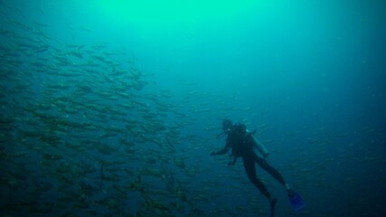 Buceo