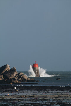 Vertical shot of shore near sea