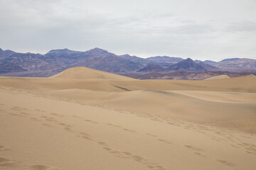 Fototapeta na wymiar Sand Dunes in Death Valley