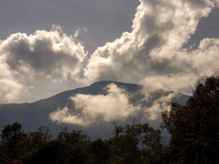 The central Andean range of Colombia covered with low clouds in the morning, near the colonial town of Villa de Leyva.