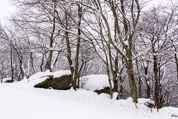 Western North Carolina after a snowstorm.