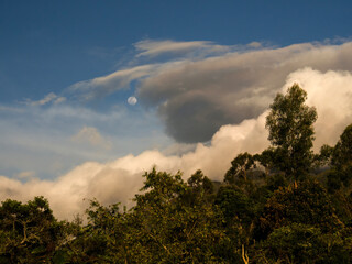 An almost full moon shines over the Andean forest of central Colombia, near the colonial town of Villa de Leyva, at sunset.