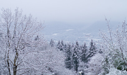 Paysage enneigé