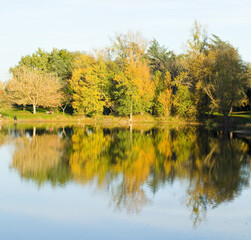 Fototapeta na wymiar Lac au parc du bois vieux