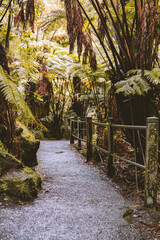 Hawaii Volcanoes National Park
