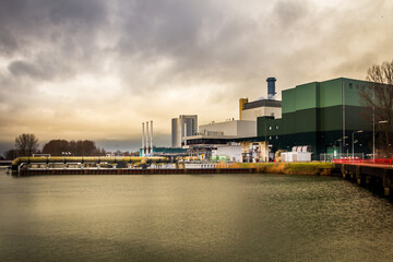 Fototapeta premium plant in the evening