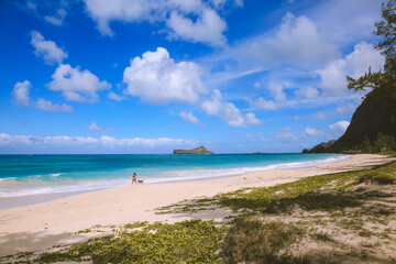 Makapuu beach park, East Oahu coast, Hawaii
