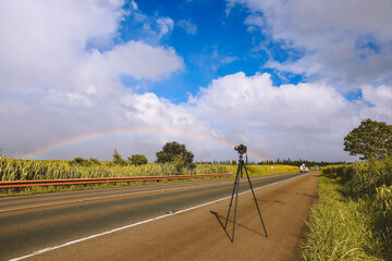 Rainbow by the road, North Shore of Oahu, Hawaii