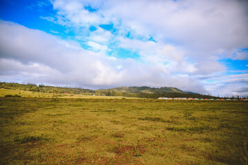 Fototapeta premium Lanai city, Hawaii