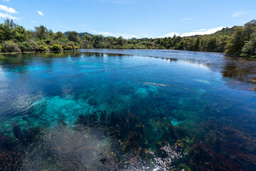 Fototapeta na wymiar Te Waikoropupu Springs and clear blue pools in New Zealand also known as Pupu springs