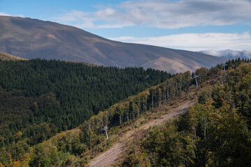 Beautiful mountain landscape of green and yellow meadows on Balkan Mountains in Serbia.Sunlit highlands and grasslands of Old mountain with distant peaks.Hiking trail for the highest peak Midzor 2169m