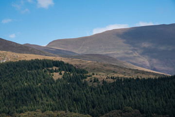 Beautiful mountain landscape of green and yellow meadows on Balkan Mountains in Serbia.Sunlit highlands and grasslands of Old mountain with distant peaks.Hiking trail for the highest peak Midzor 2169m