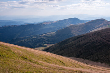Naklejka premium Beautiful mountain landscape of green and yellow meadows on Balkan Mountains in Serbia.Sunlit highlands and grasslands of Old mountain with distant peaks.Hiking trail for the highest peak Midzor 2169m