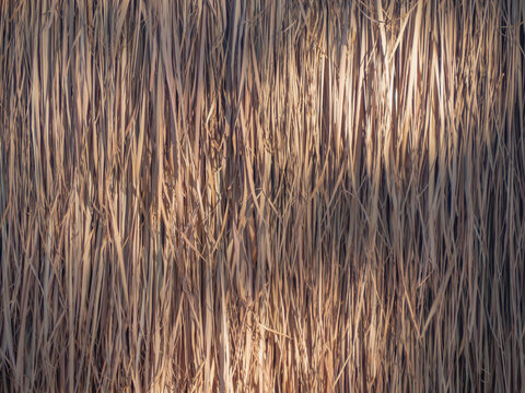 Vetiver grass thatch roof texture.