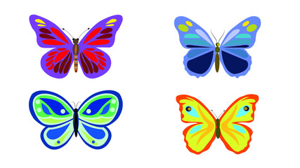 Fototapeta na wymiar Colorful butterfly group isolated on background.