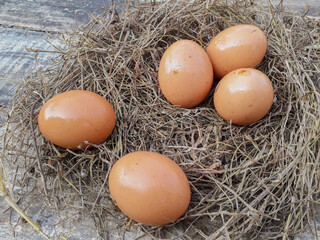Close-up view of Chicken eggs is on chicken nest wooden background